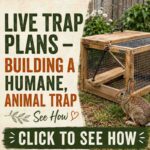 Live Trap Plans
