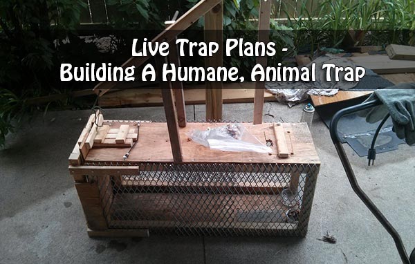 Live Trap Plans - Building A Humane, Animal Trap