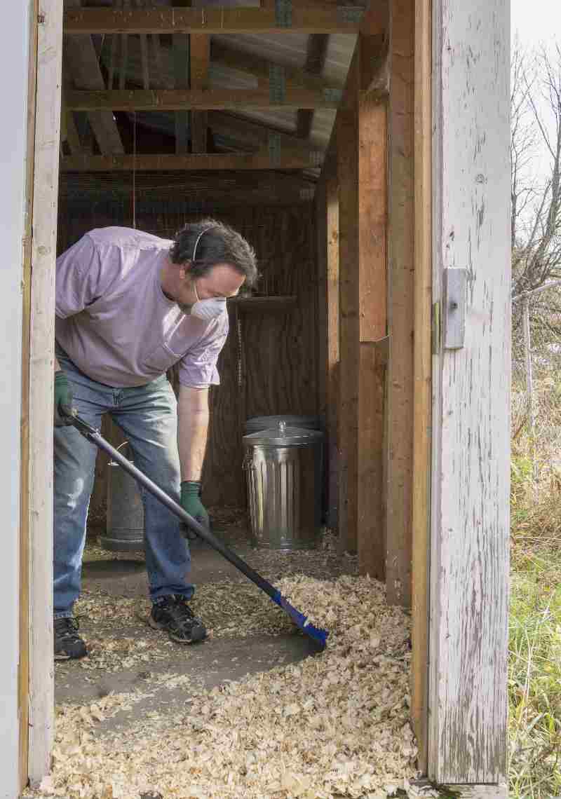 Maintain a clean coop