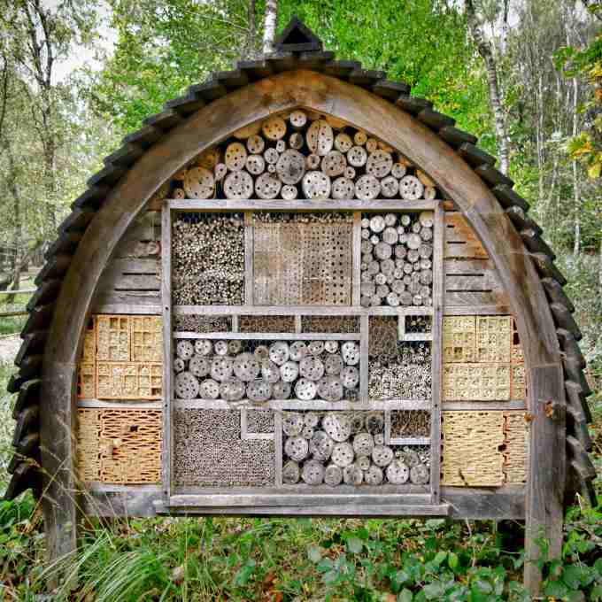 Mason Bee House