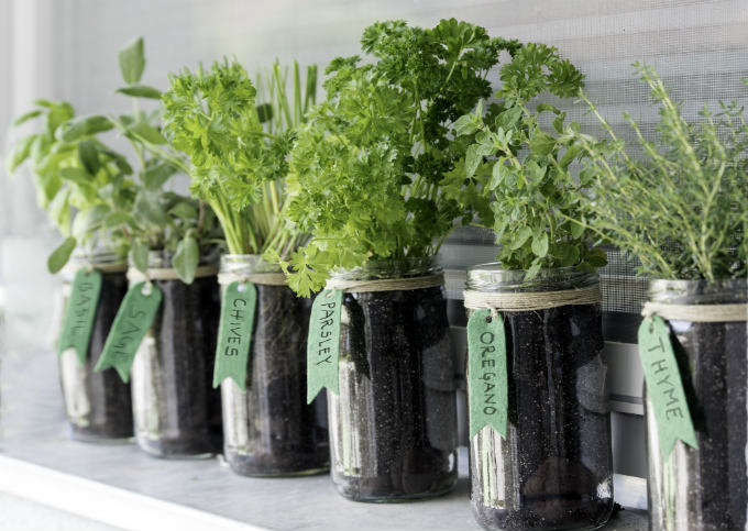 Mason Jar Herb Garden