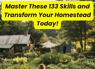 133 Skills For The Modern Homesteader To Master Master These 133 Skills and Transform Your Homestead Today!