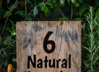 6 Natural Ibuprofen Alternatives Natural Ibuprofen Alternatives