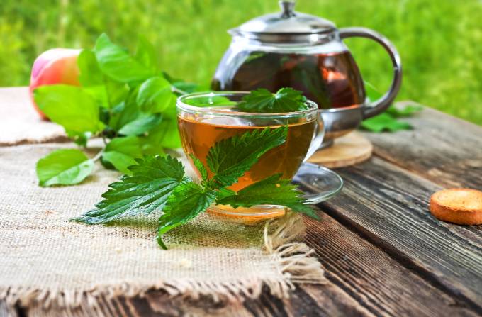 Nettle Tea 