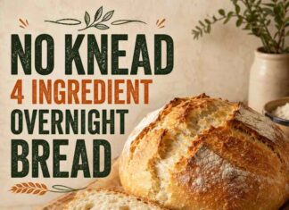 No Knead 4 Ingredient Overnight Bread Anyone Can Make No Knead 4 Ingredient Overnight Bread Anyone Can Make
