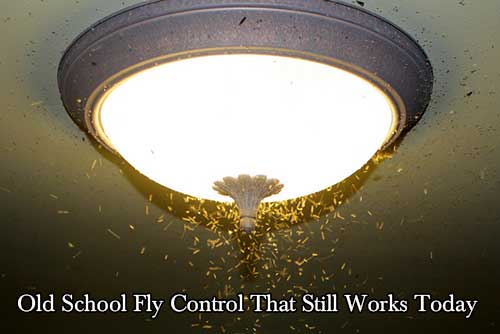 Old School Fly Control That Still Works Today
