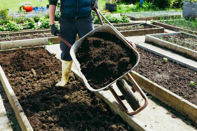 Organic Fertilizers