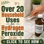 Over 20 Household Uses for Hydrogen Peroxide