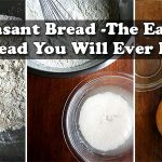 Peasant Bread -The Easiest Bread You Will Ever Make