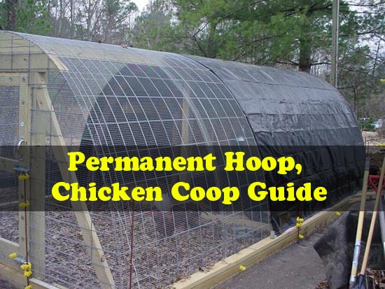 Permanent Hoop, Chicken Coop Guide
