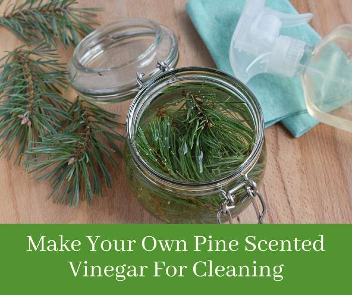 Pine Vinegar For Cleaning