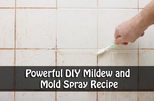 Powerful DIY Mildew and Mold Spray Recipe