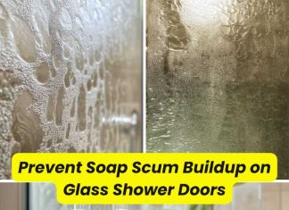 Prevent Soap Scum Buildup on Glass Shower Doors Prevent Soap Scum Buildup on Glass Shower Doors