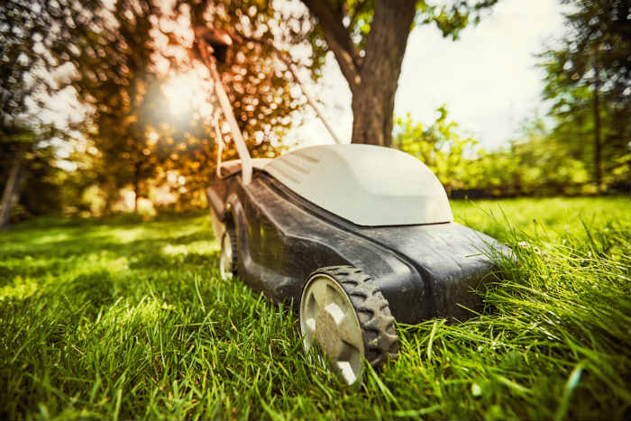 Solar Lawn Mower