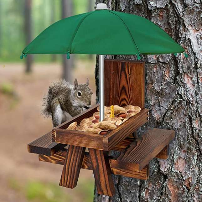 Squirrel Picnic Table on tree