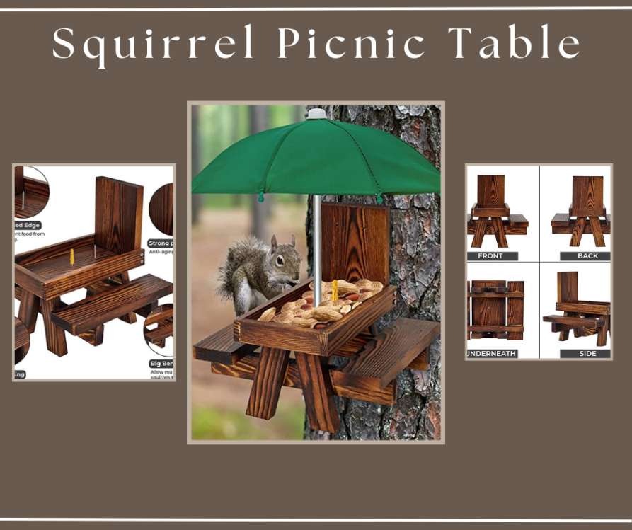 Squirrel Picnic Table