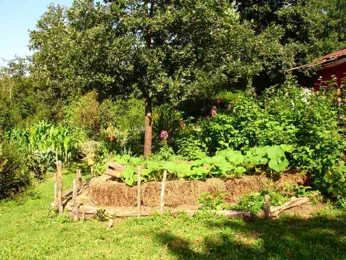 Straw Bale Gardening