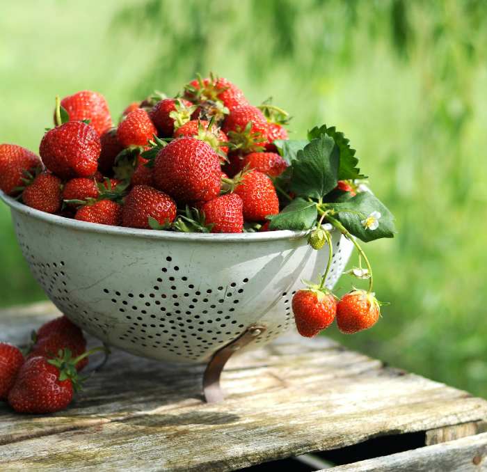 How To Grow 30 Strawberry Plants
