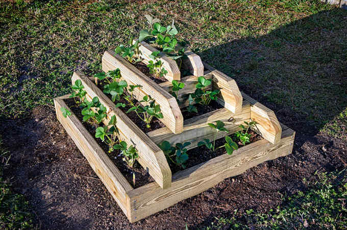 Strawberry Pyramid Planter