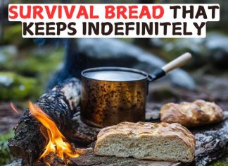Survival Bread That Keeps Indefinitely Survival Bread That Keeps Indefinitely