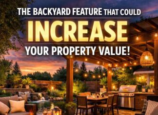 The Backyard Feature That Could Increase Your Property Value Fast The Backyard Feature That Could Increase Your Property Value Fast