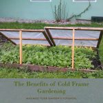 The Benefits of Cold Frame Gardening