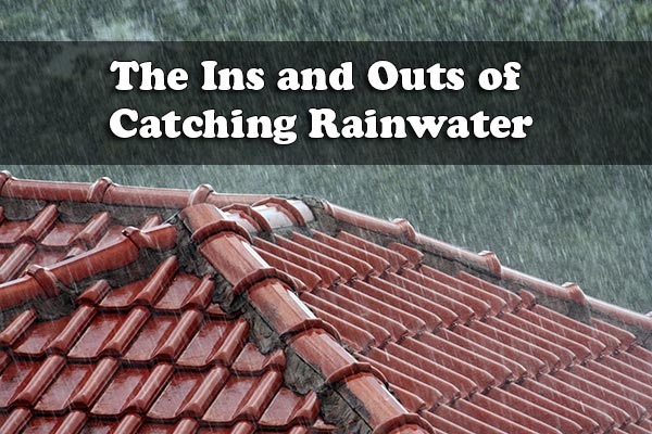 The Ins and Outs of Catching Rainwater