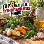 The Top 9 Natural Anti Inflammatory Herbs