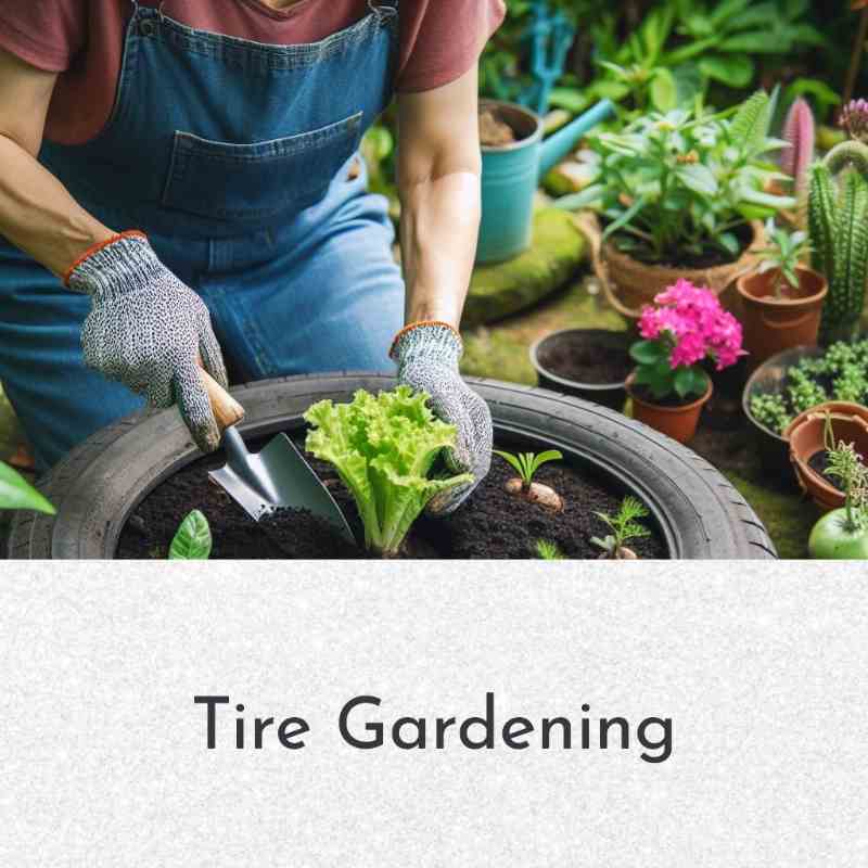 Tire Gardening