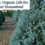 Trees: Organic Life for Your Homestead