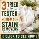 Tried-and-Tested Homemade Stain Removers