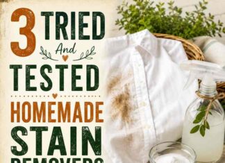3 Tried And Tested Homemade Stain Removers Tried-and-Tested Homemade Stain Removers