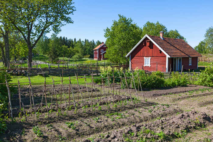 Vegetable Garden