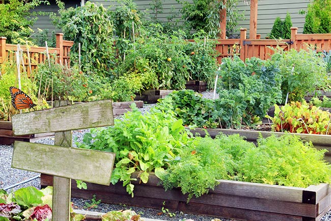 Ways To Grow More Food From Your Garden