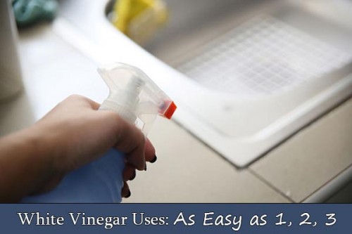 White-Vinegar-Uses-As-Easy-as-1-2-3