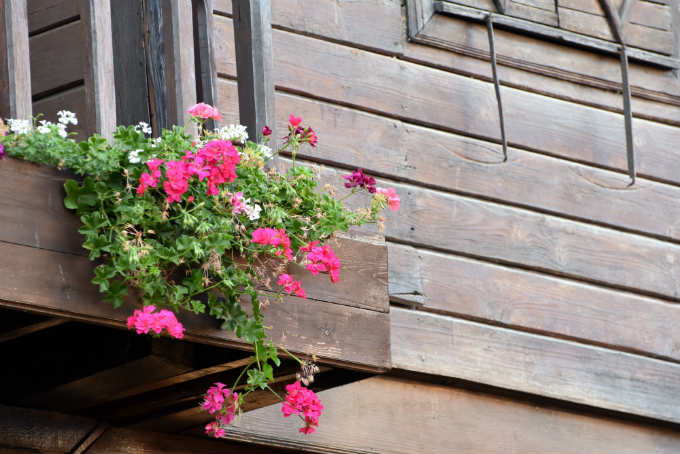 Window planter