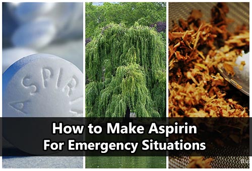 How to Make Aspirin if You're Lost in the Woods
