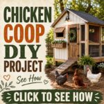 building a chicken coop - DIY tutorial