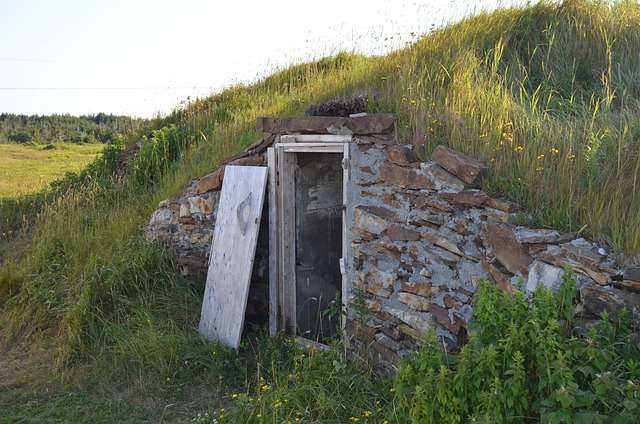 cellar