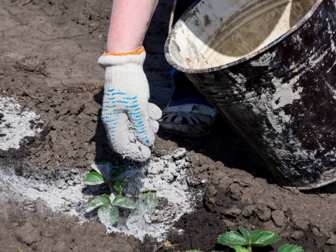 30 Surprising Uses for Wood Ash