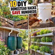 10 DIY Homestead Hacks That Will Save You Hundreds of Dollars 🔧 10 DIY Homestead Hacks That Will Save You Hundreds of Dollars 💰